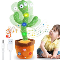 Dancing Cactus